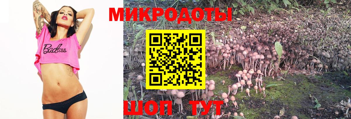 Галлюциногенные грибы мицелий Лысьва